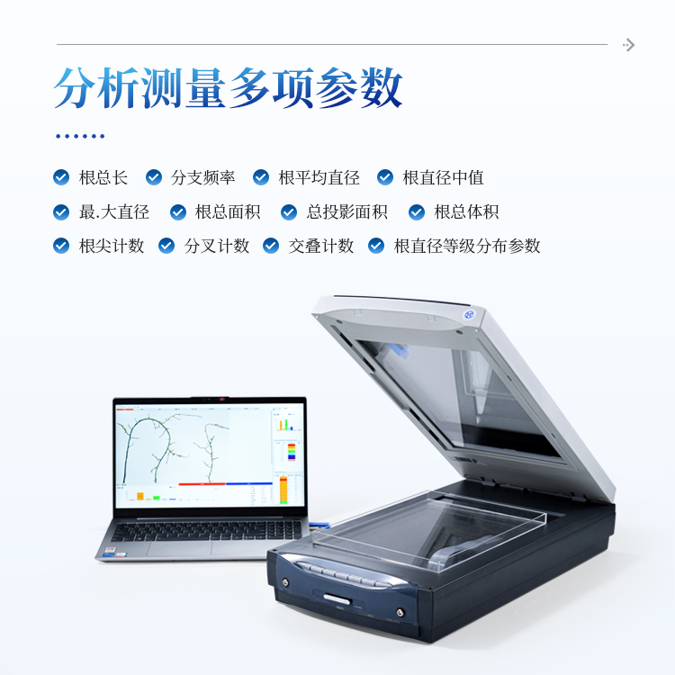 植物根系分析仪
