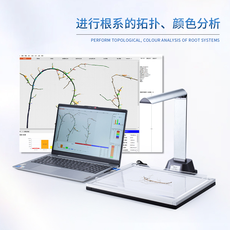 根系分析仪