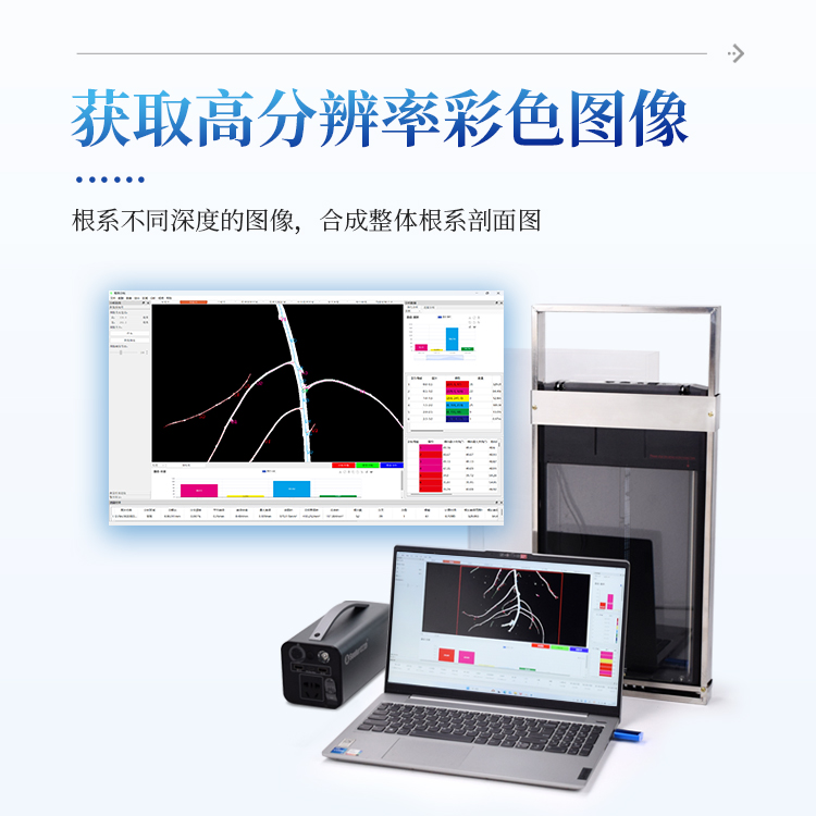 原位根系分析仪