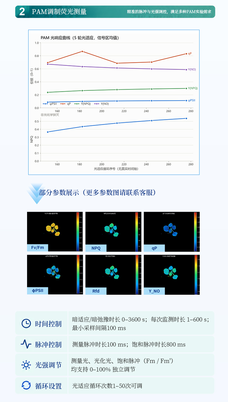 叶绿素荧光成像系统 叶绿素荧光成像系统